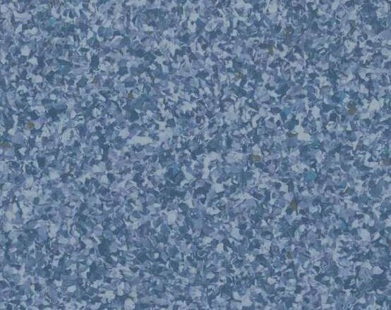 2082 Ocean