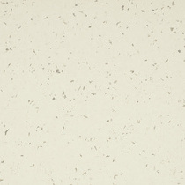5402 Ivory Dust