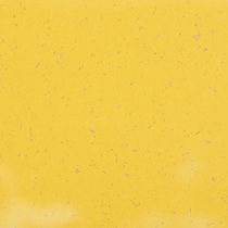 5422 Sunflower