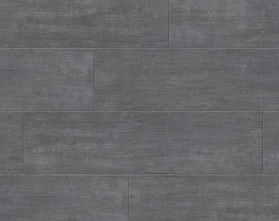 B0561 Carassi