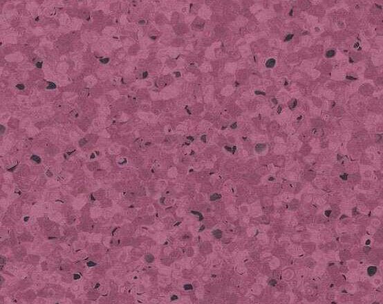 0331 Plum