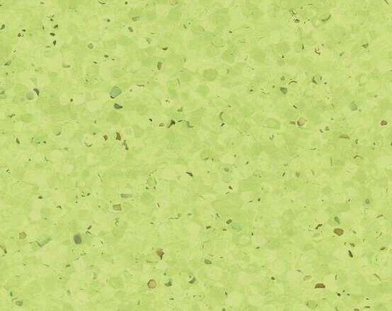 0338 Kiwi