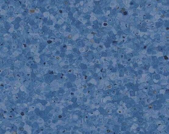 0349 Bluecrop