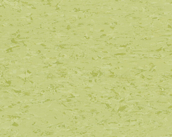 0447 Grunsee