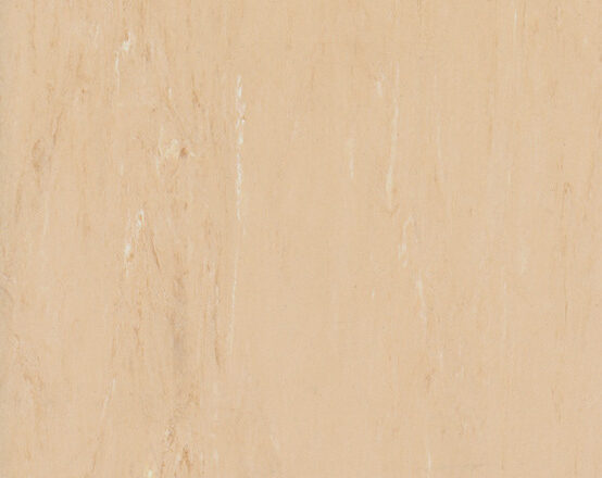 1003 Light Ocre