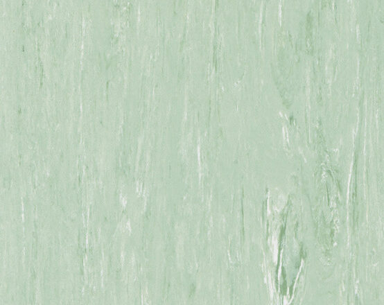 1007 Green