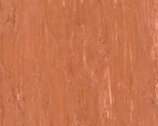 1055 Apricot