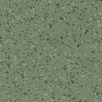 4457 Olivine