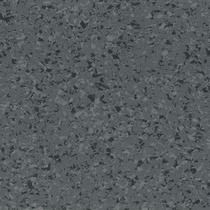 4459 Grey Storm