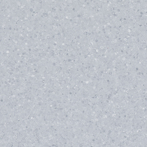 5039 Grey Moon