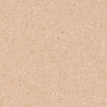 5046 Sesame Seed