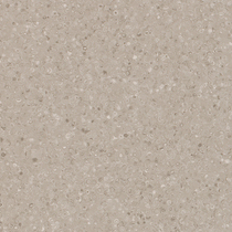 5049 Grey Peanut