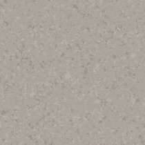 6039 Pebble