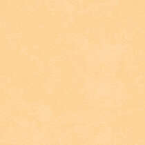 7104