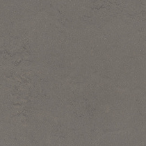 boldgrey