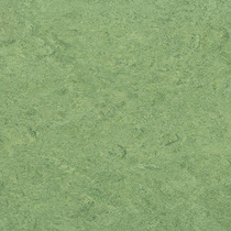 froggreen