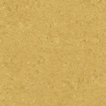 goldenyellow