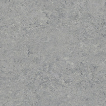icegrey
