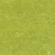 limegreen