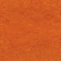 mandarinorange