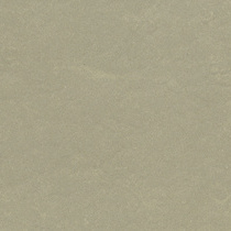 mudgrey