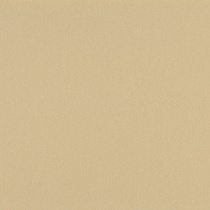 neturalbeige