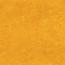 papayaorange