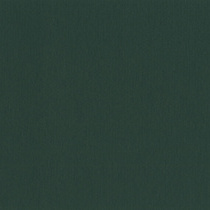 racinggreen