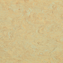 sahara