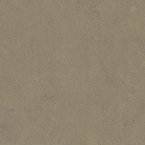 screedgrey