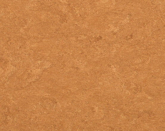 spicyorange