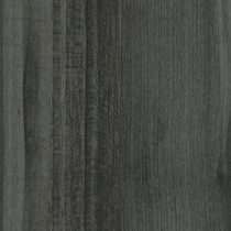 sycamoredark