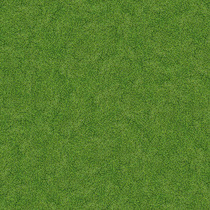 7081 Spring Grass