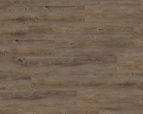 A0359 Wild Oak