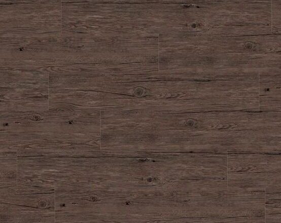 A0360 Deep Forest