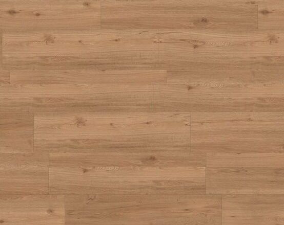 G1191 Clifton Chestnut