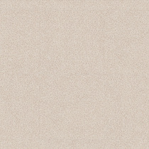 0033 Spider Beige